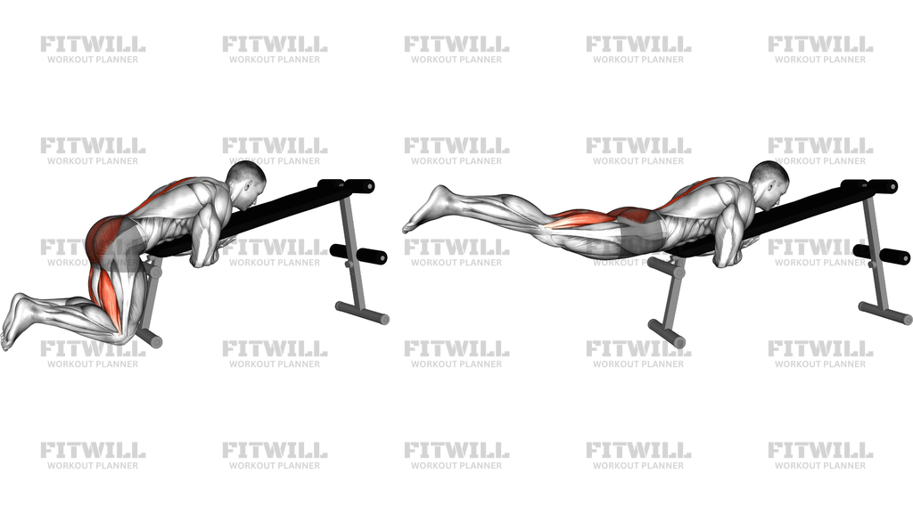 Bodyweight Lying Decline Bench Reverse Hyperexten