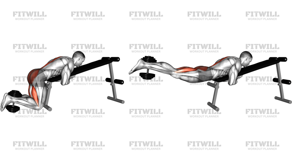 Weighted Dumbbell Lying Decline Bench Reverse Hyp