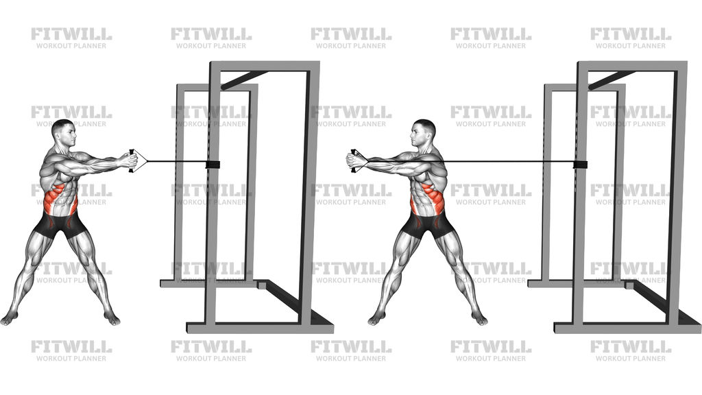 Band Standing Torso Rotation