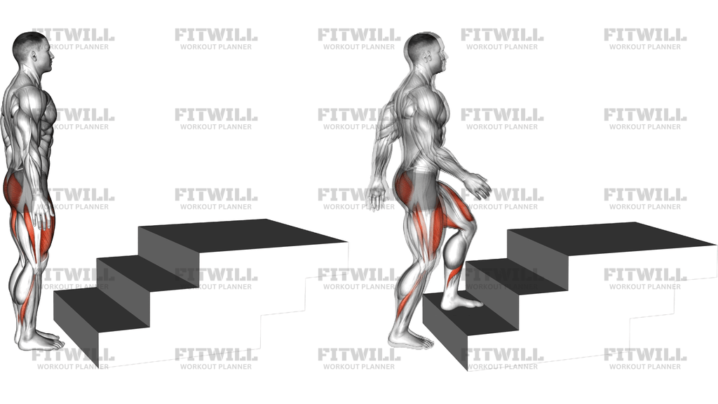 Step Up (1st And 2nd Stairs Steps)