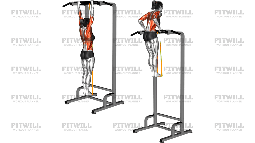 Resistance Band Assisted Muscle Up