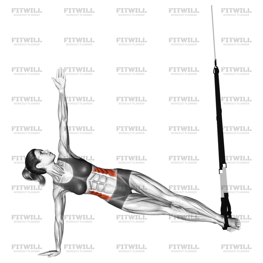 Star plank exercise sale