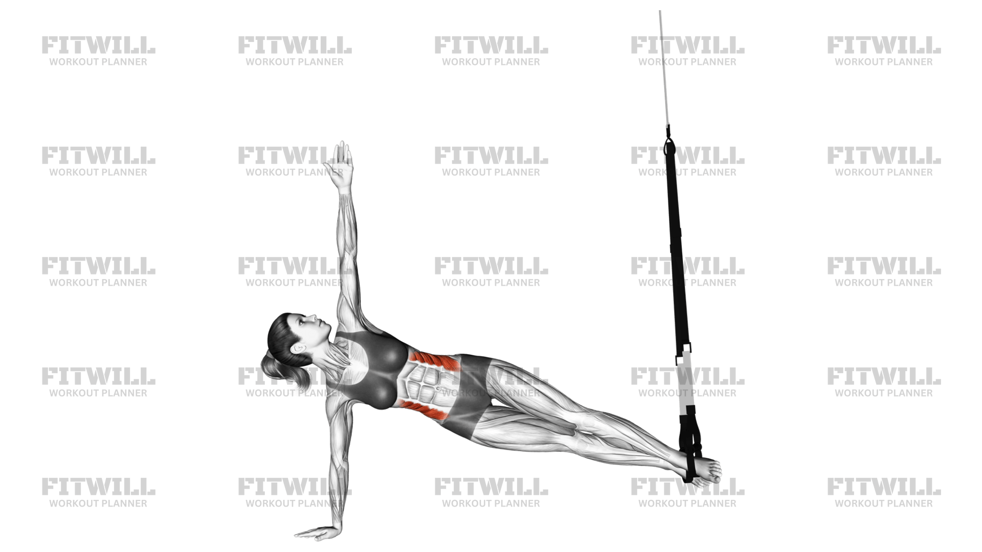 Suspension Star Plank Exercise Guide Techniques Benefits How to Muscles Worked Tips Tricks Fitwill