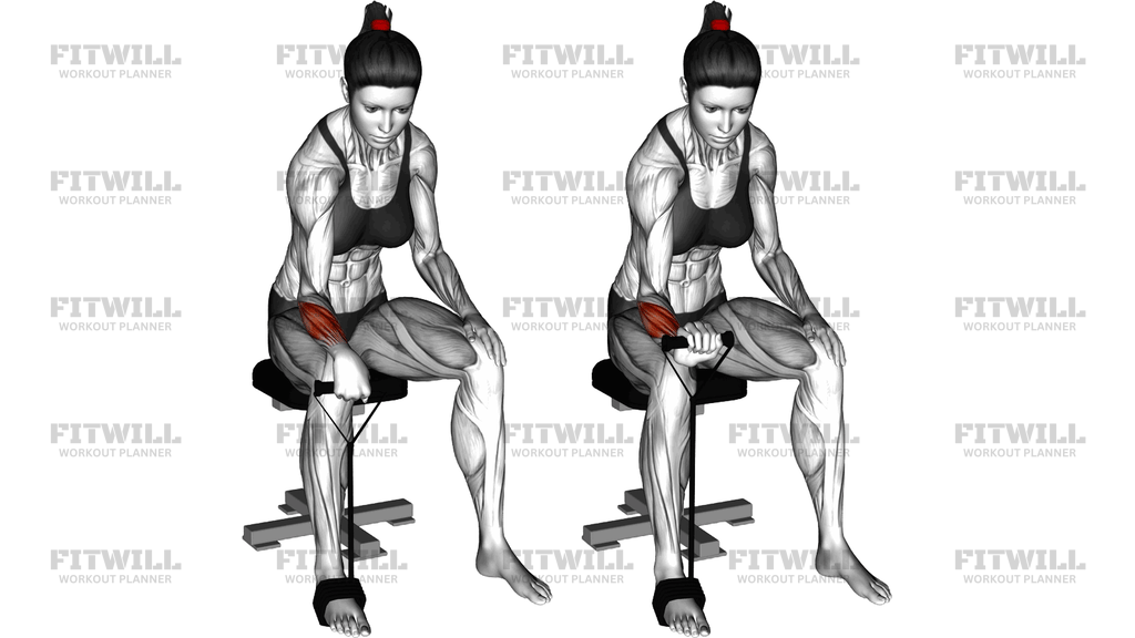Band Reverse Wrist Curl