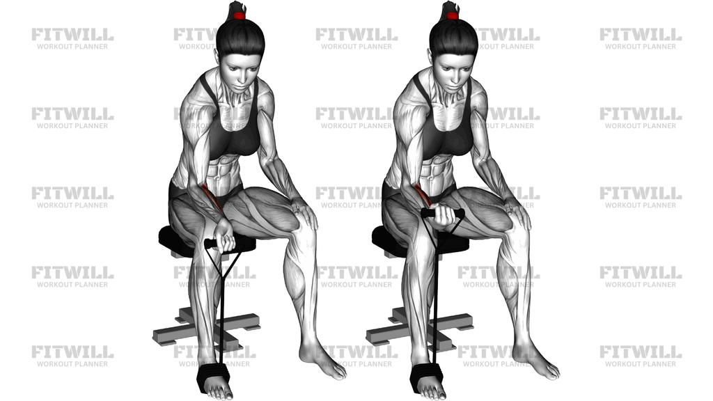 Band Wrist Curl
