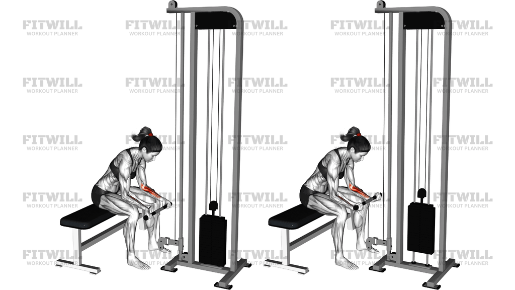 Cable Wrist Curl