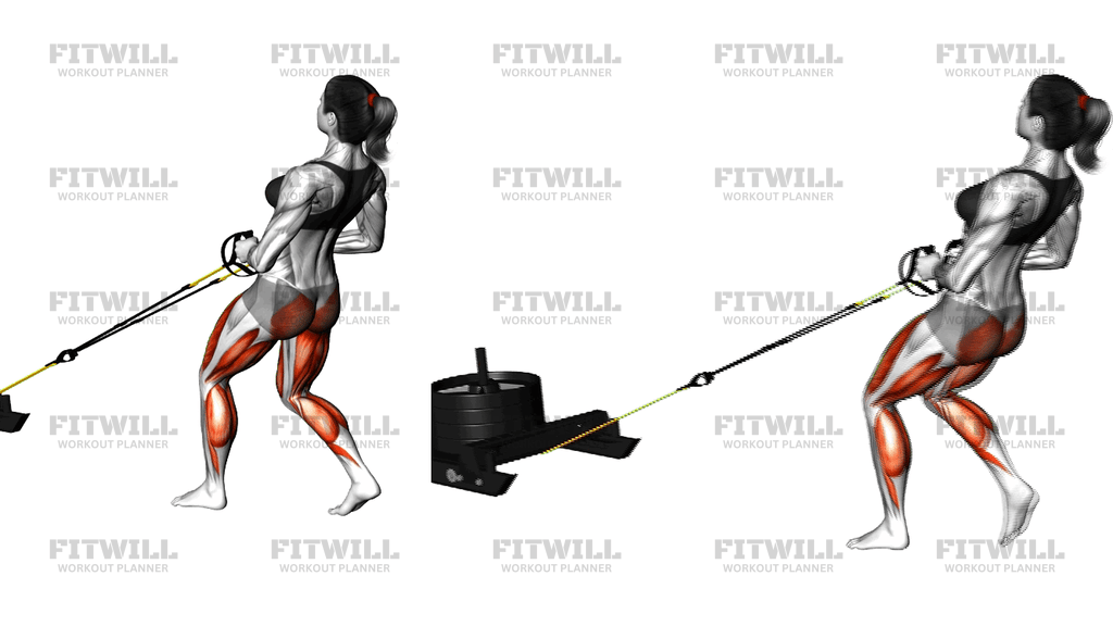 Power Sled Rear Drag (Version 2)