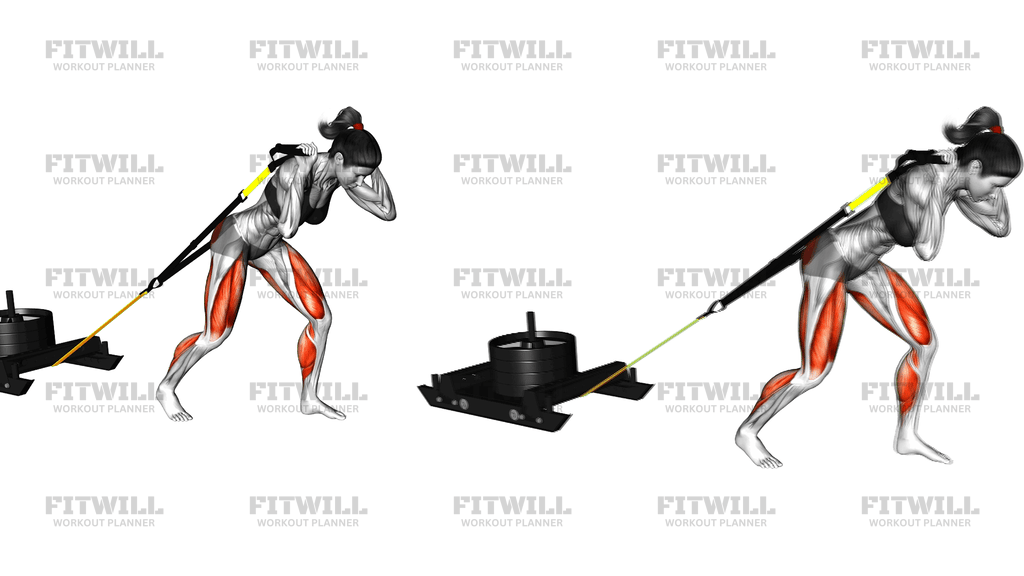 Power Sled Drag