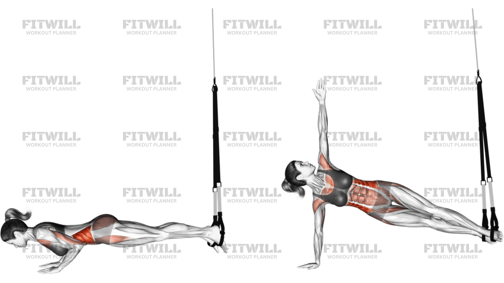 Suspension Star Push-Up