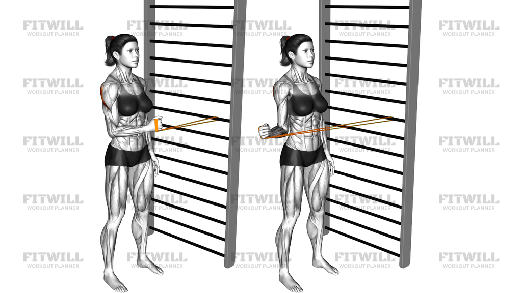 Resistance Band Standing Shoulder External Rotati