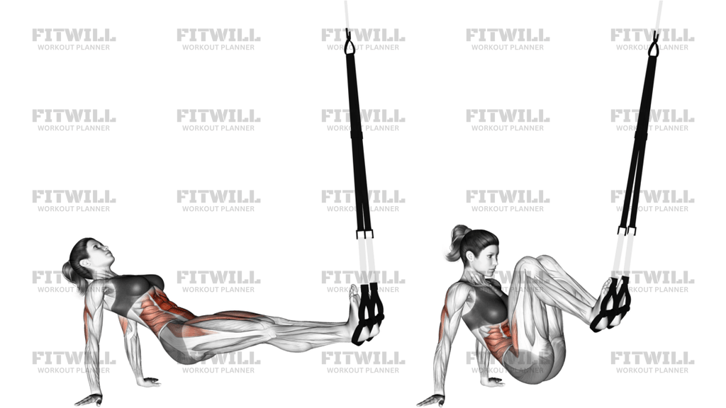 Suspension Supine Crunch