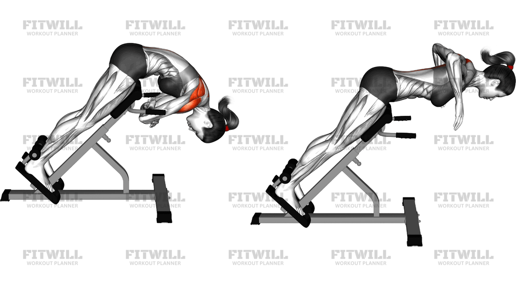 45 Graders Back Extension Med Skulderbladadduktion