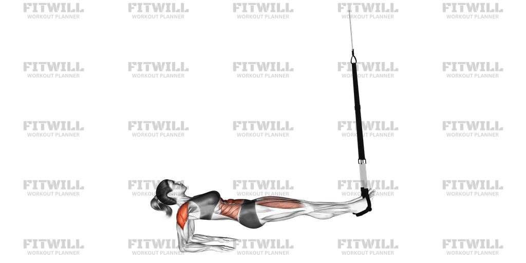 Suspension Supine Plank Exercise Video Fitwill