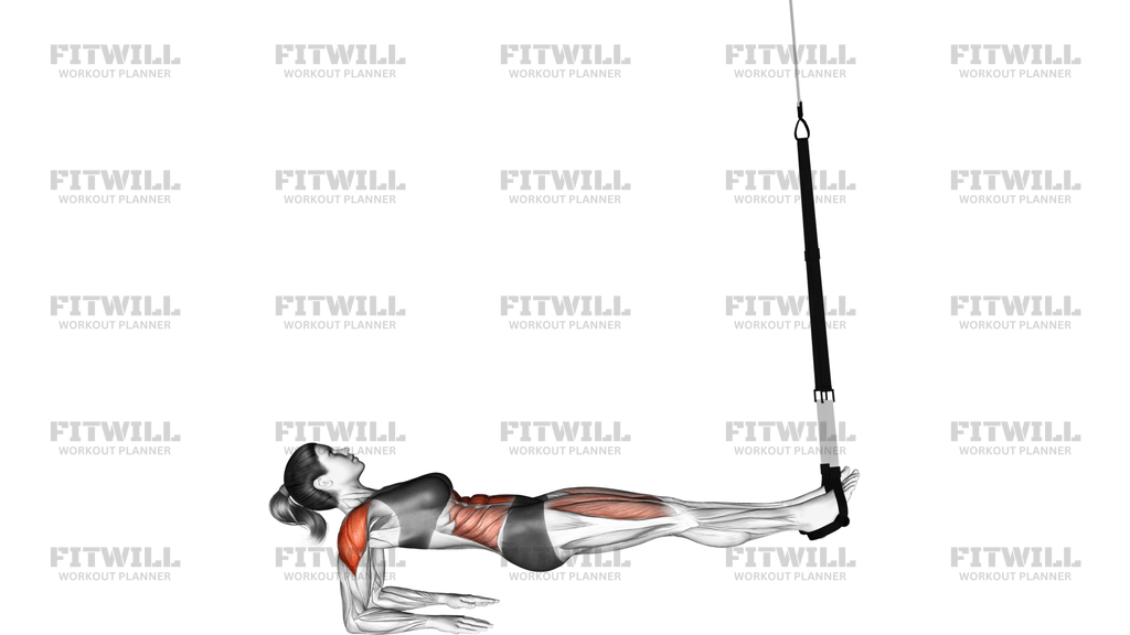Suspension Supine Plank