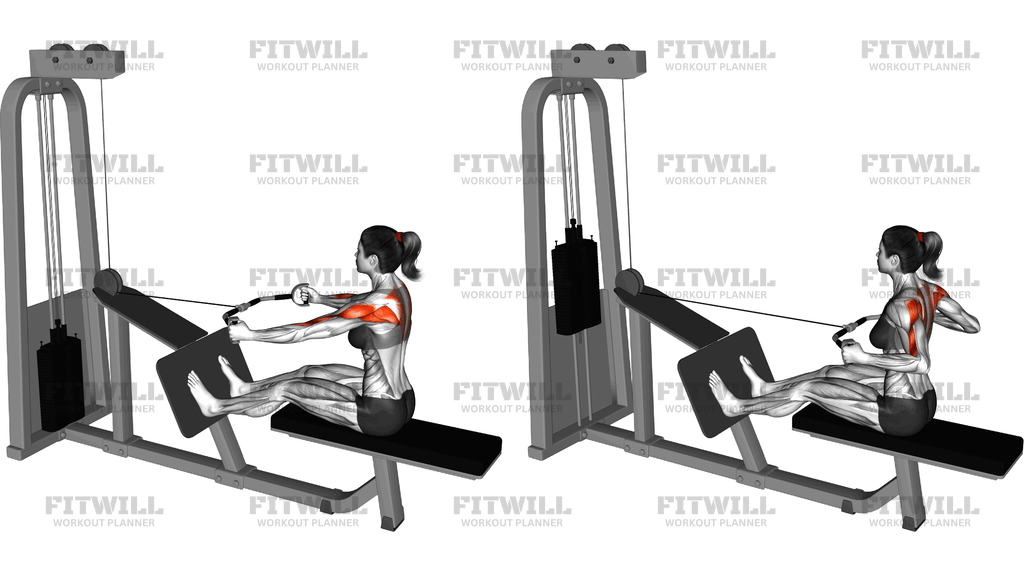Cable Rear Delt Row (Parallel Bar)