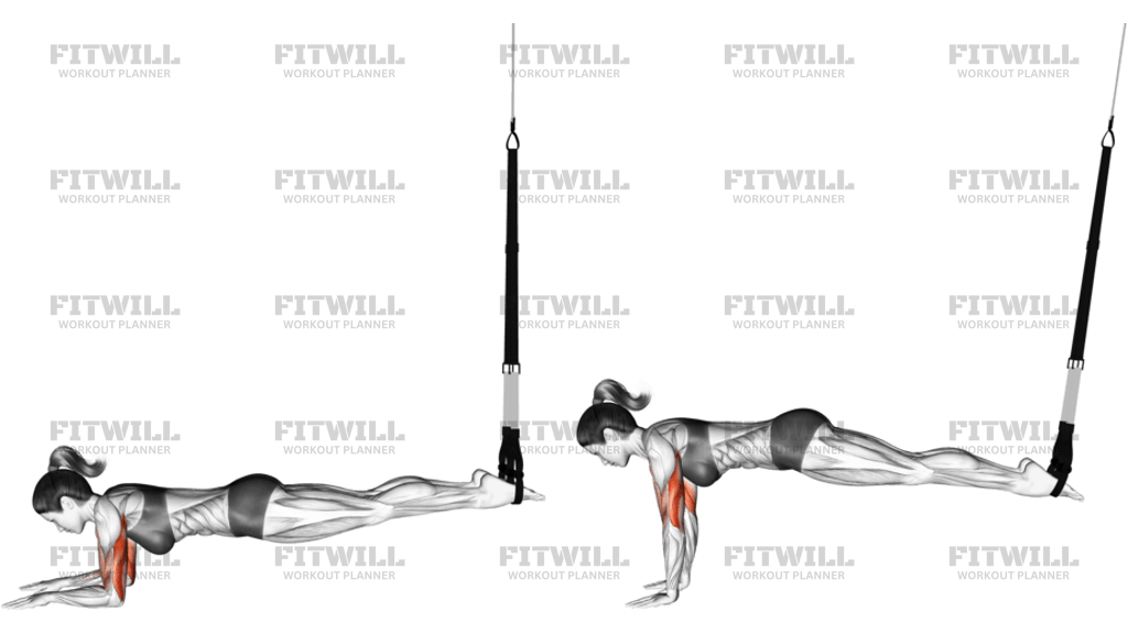 Suspension Triceps Extension Push-Up