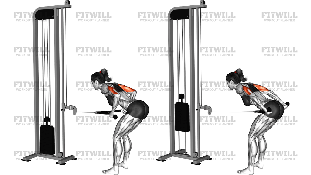 Cable Bent Over Neutral Grip Kickback With Rope A