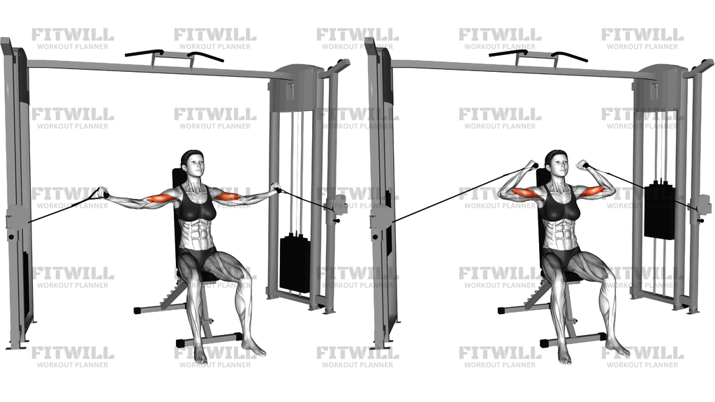 Cable Seated Overhead Curl