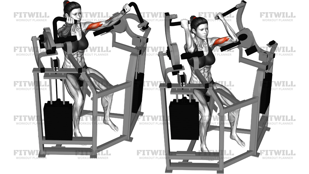 Lever Bicep Curl