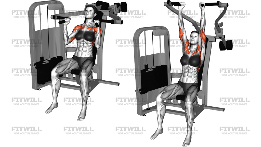 Lever Seated Hammer Grip Shoulder Press