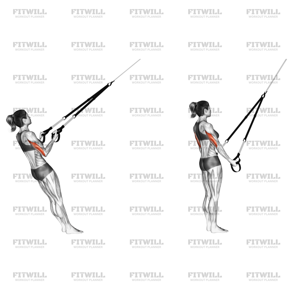 Suspension Triceps Kickback Exercise Guide Video Techniques