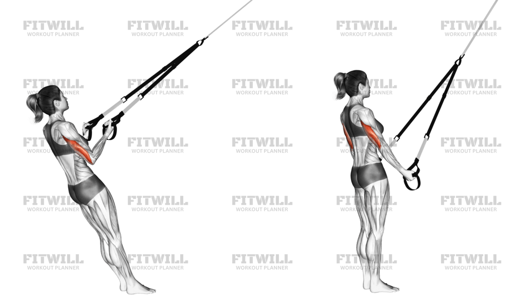 Suspension Triceps Kickback