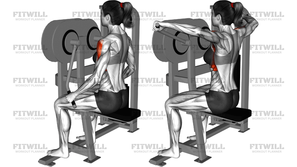 Lever Lateral Raise (Version 2)