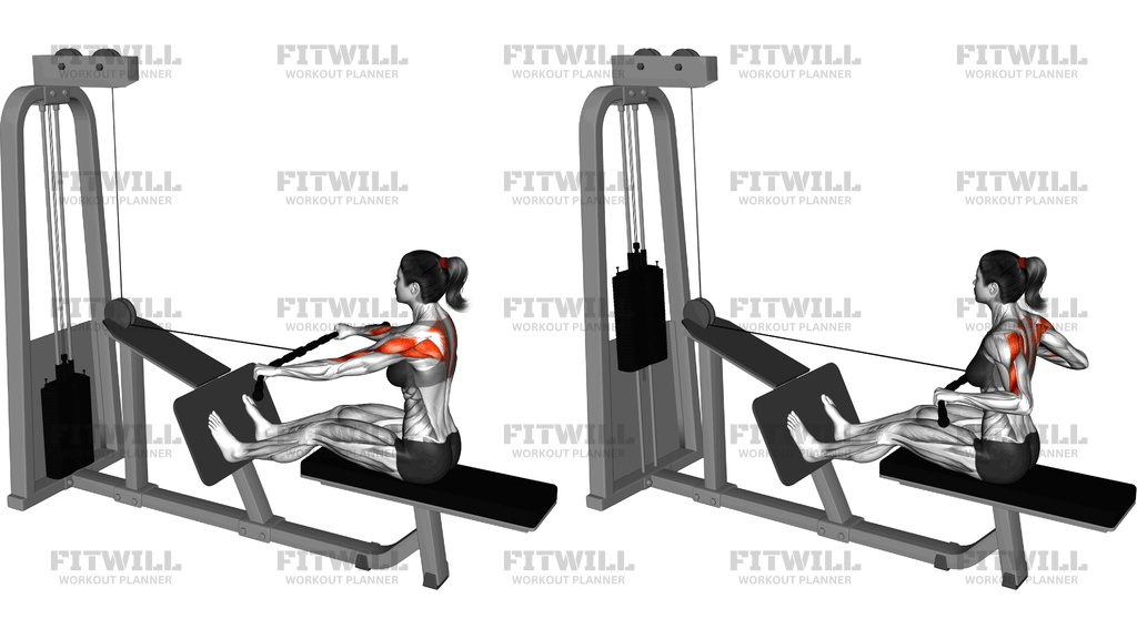 Cable Rear Delt Row