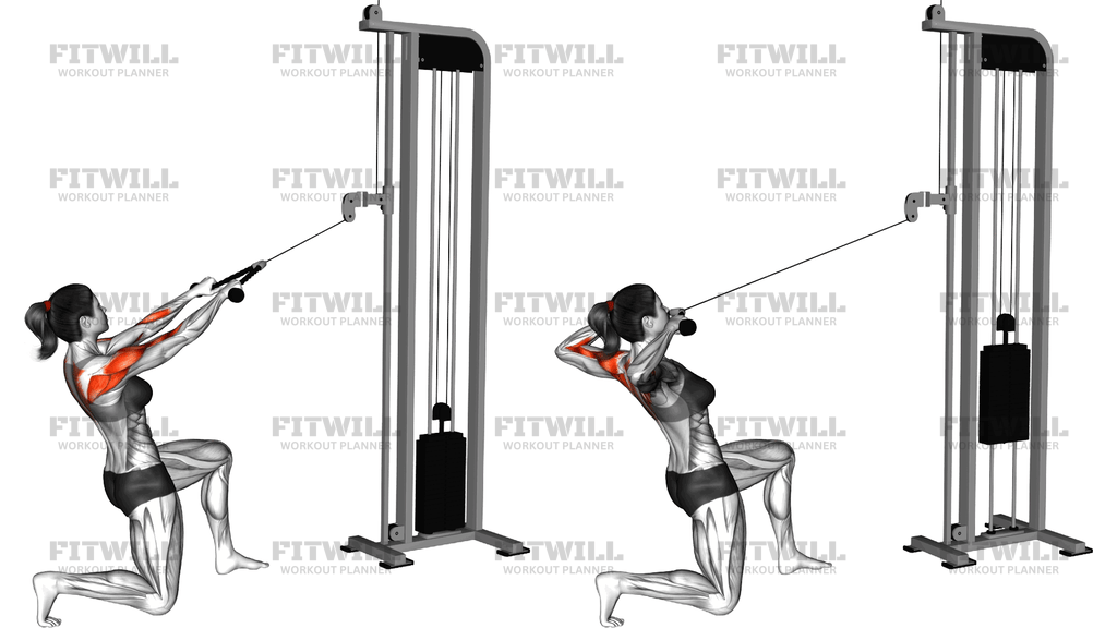 Cable Half Kneeling Face Pull
