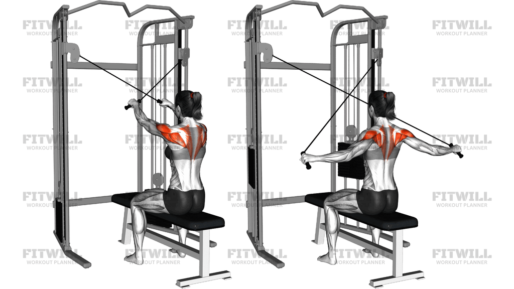 Cable Seated Reverse Fly