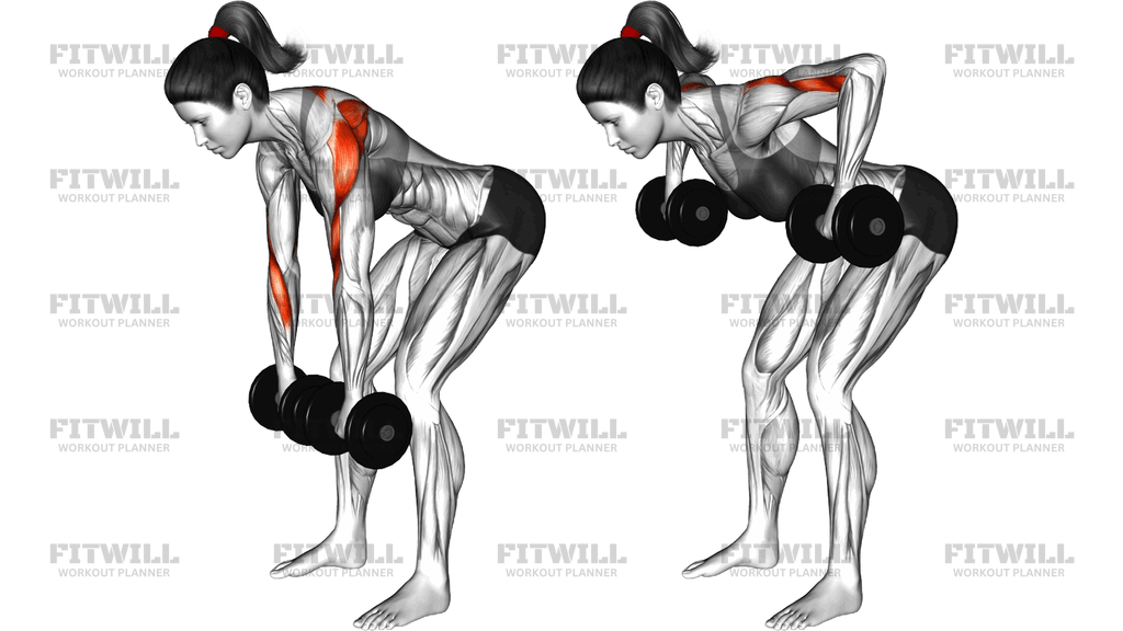 Dumbbell Bent Over Wide Row