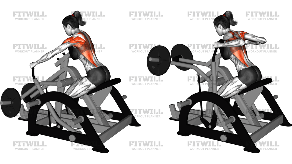 Lever Seated Row (Plate Loaded)