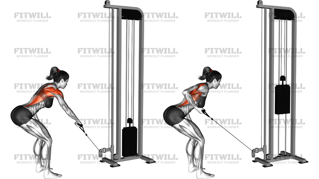 Cable Palm Rotational Row