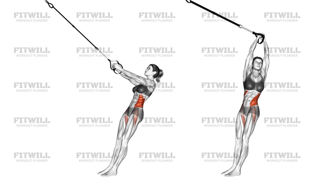 Závesný Výkrut (Suspension Twist-Up)