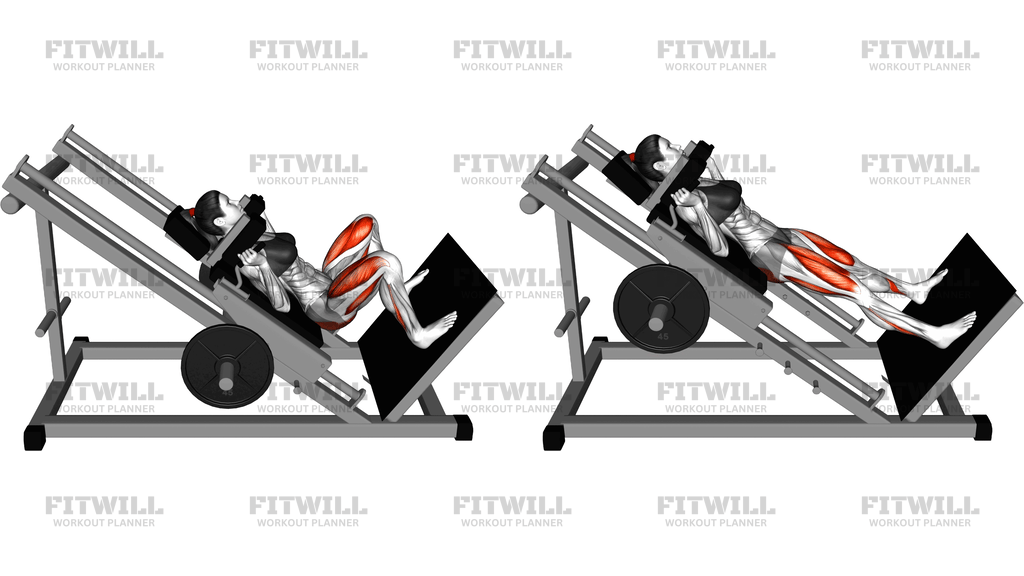 Sled Wide Hack Squat