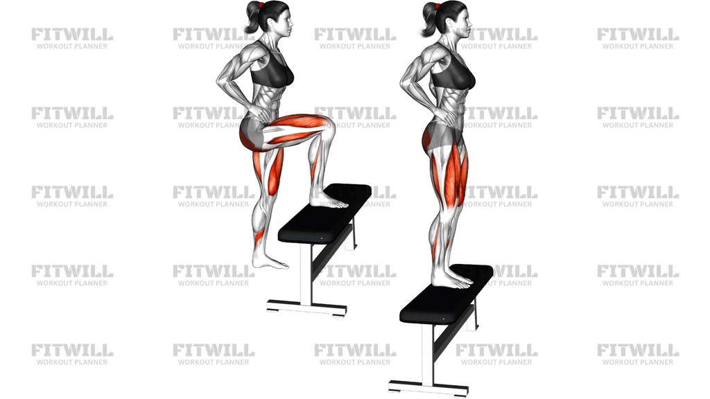 Bodyweight Step Up (Version 2)