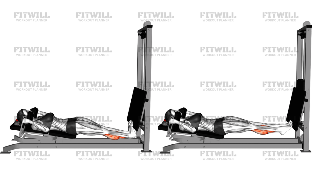 Sled Lying Calf Press