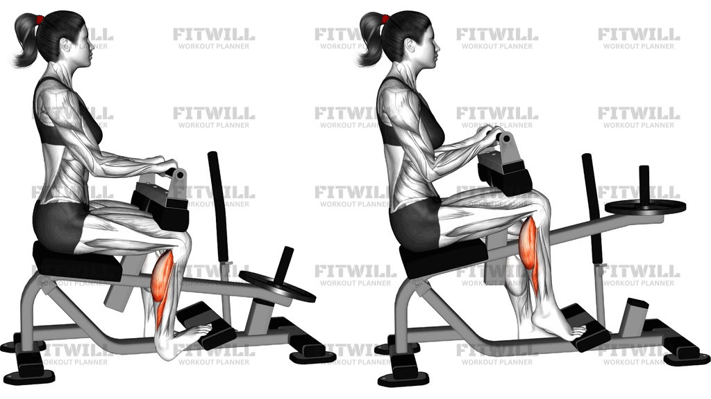 Lever Seated One Leg Calf Raise