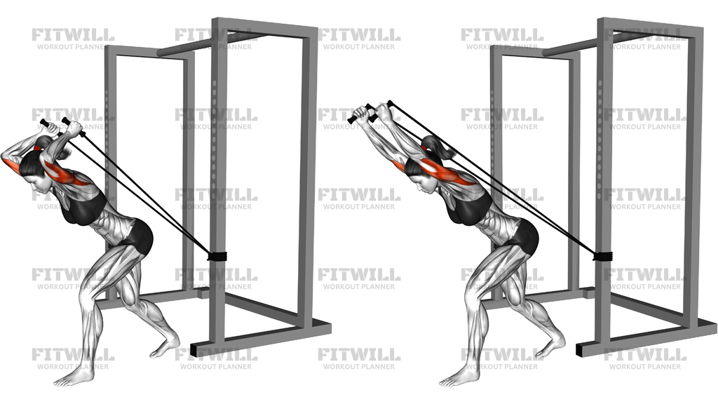 Band High Pulley Overhead Triceps Extension
