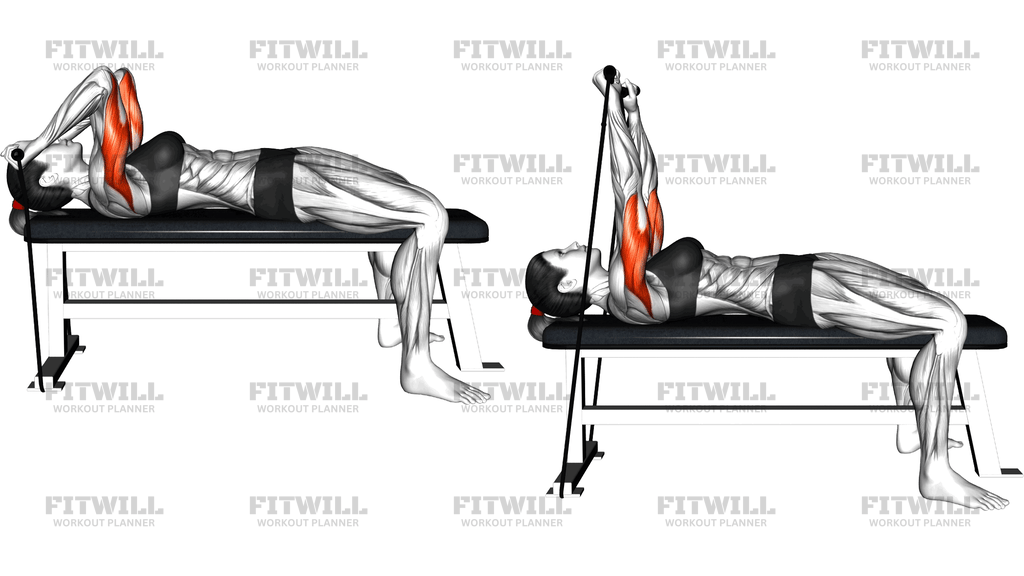 Band Skull Crusher