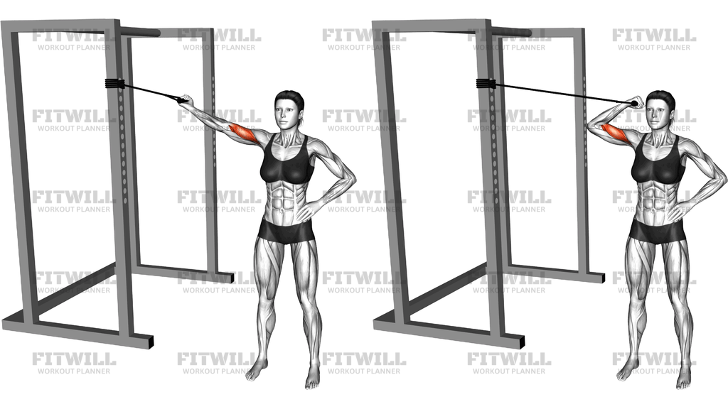 Band One Arm Overhead Biceps Curl