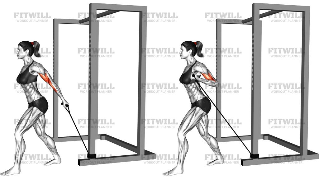 Band 45 Degrees One Arm Biceps Curl