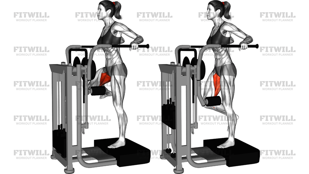 Lever Side Hip Adduction