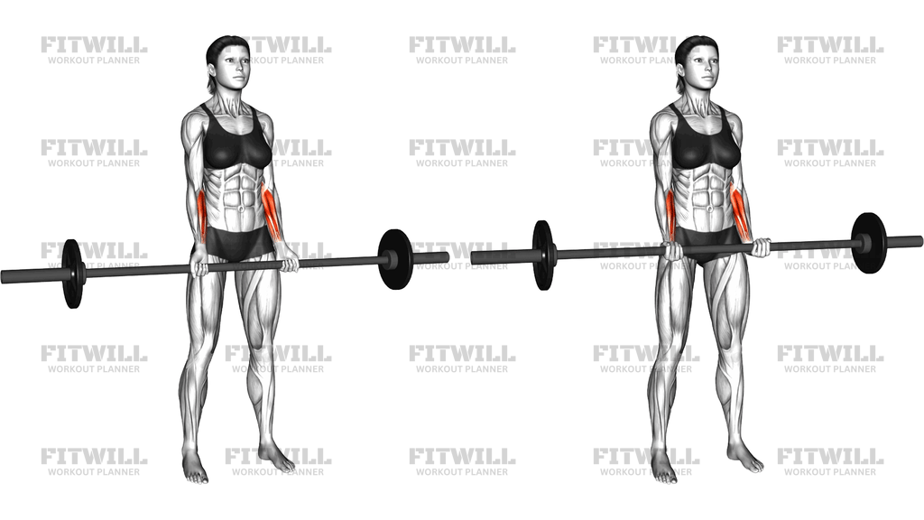 Barbell Standing Wrist Curl