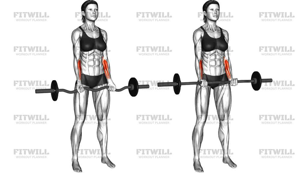 Ez Barbell Standing Wrist Curl