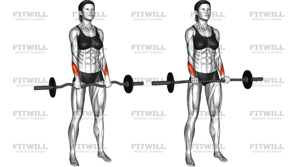 Ez Barbell Standing Wrist Reverse Curl