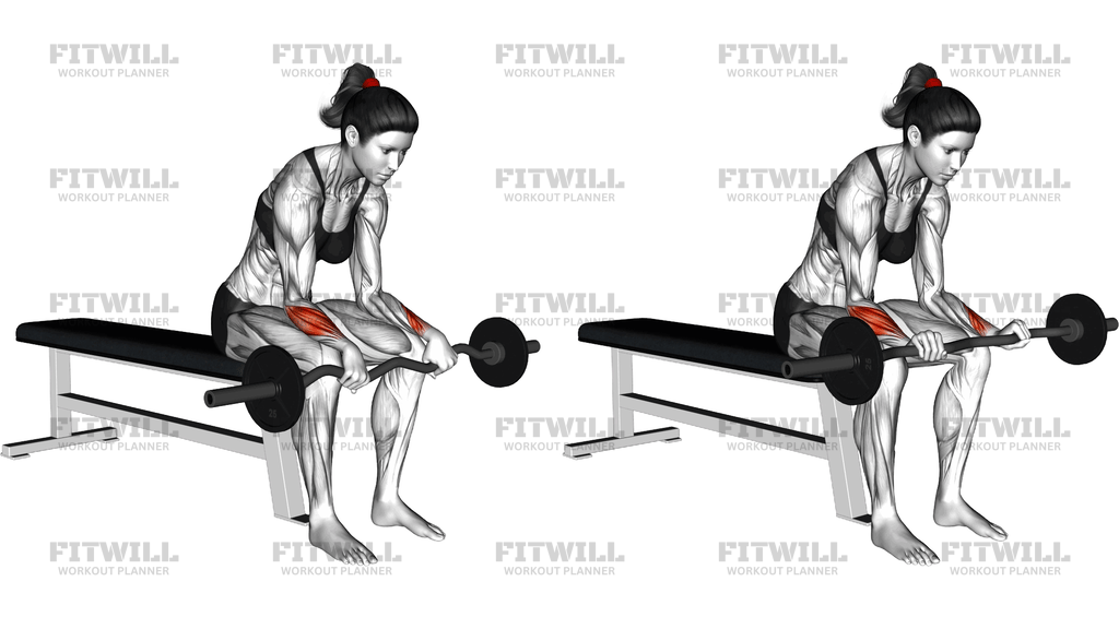 Ez Bar Seated Wrist Reverse Curl