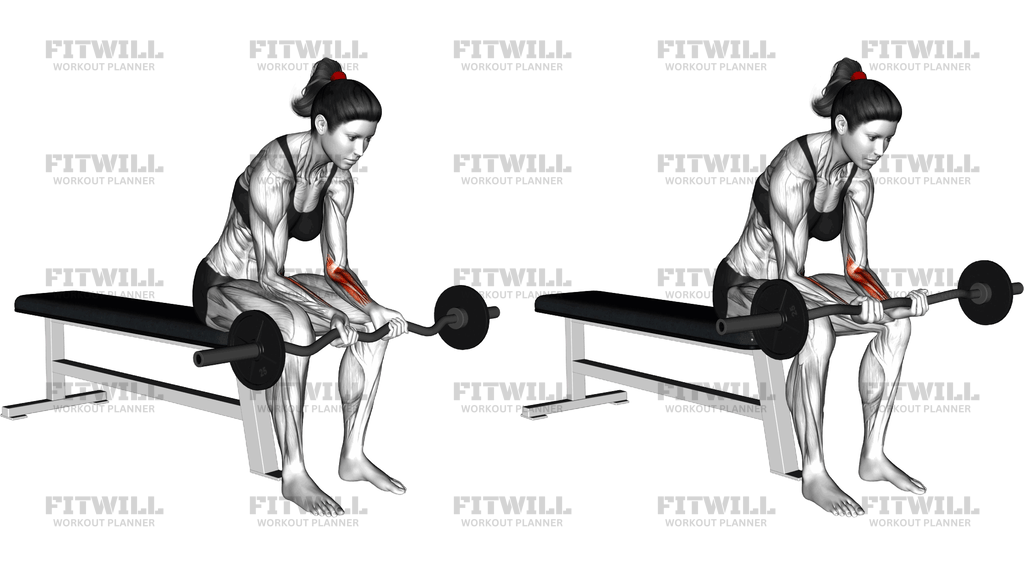 Ez Bar Seated Wrist Curl