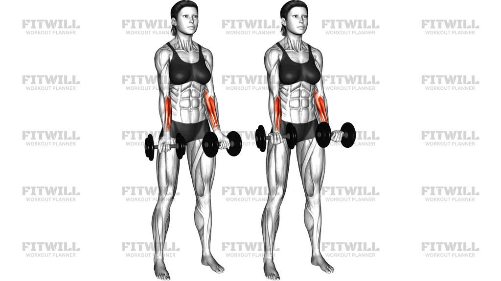 Dumbbell Standing Wrist Curl
