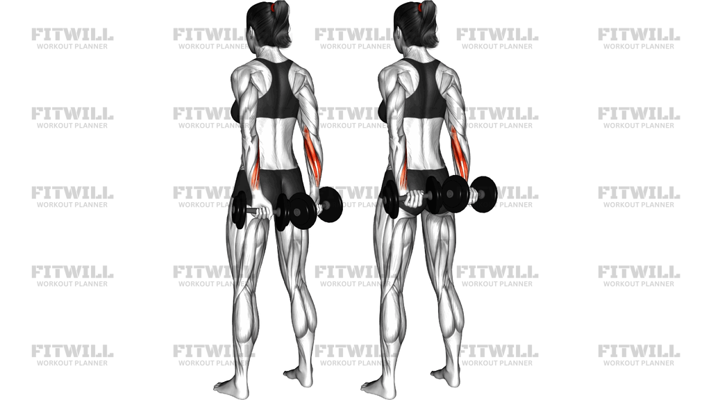 Dumbbell Standing Back Wrist Curl